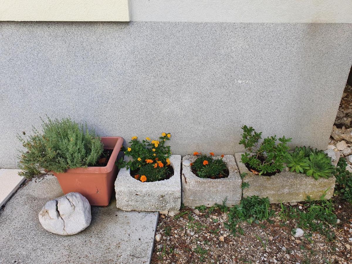 Apartments Ivana Baška Voda Extérieur photo