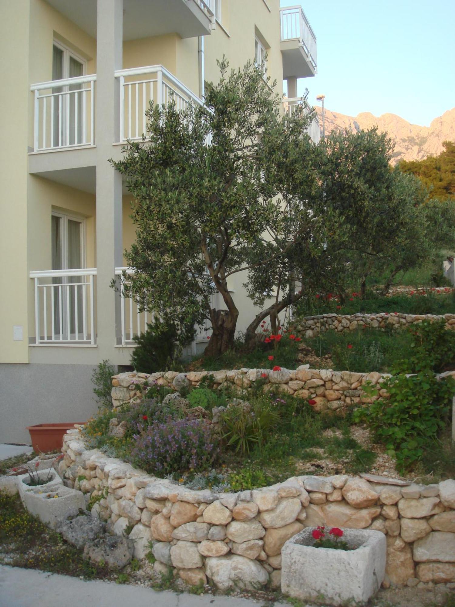 Apartments Ivana Baška Voda Extérieur photo